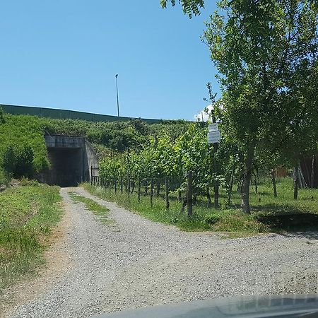 Buio Pesto B&B Ceparana Екстер'єр фото